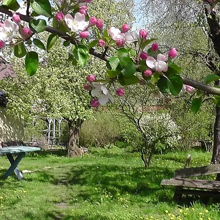 Privatunterkunft Appel-ranch *