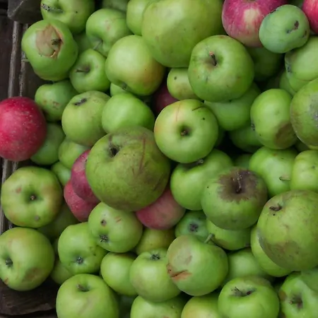 Ubytování v soukromí Appel-ranch