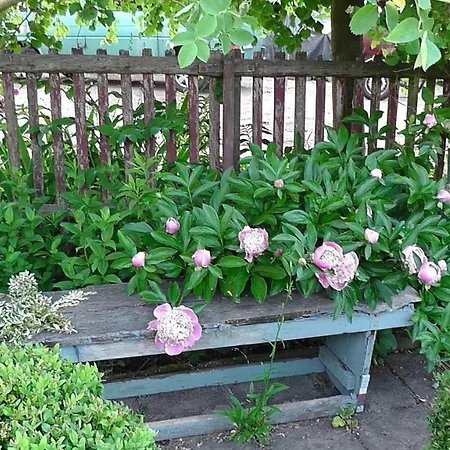 Appel-ranch Ubytování v soukromí Bockelwitz