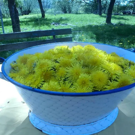 Appel-ranch Ubytování v soukromí *