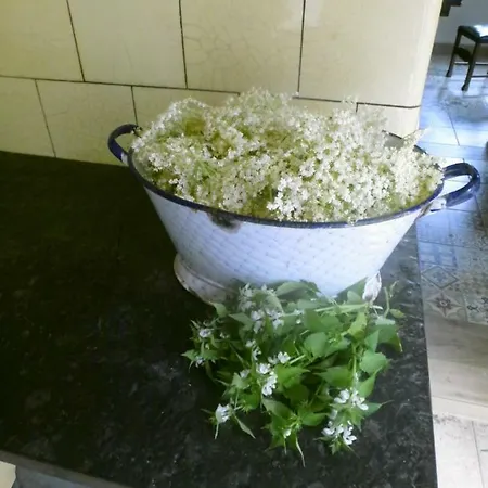 Ubytování v soukromí Appel-ranch *