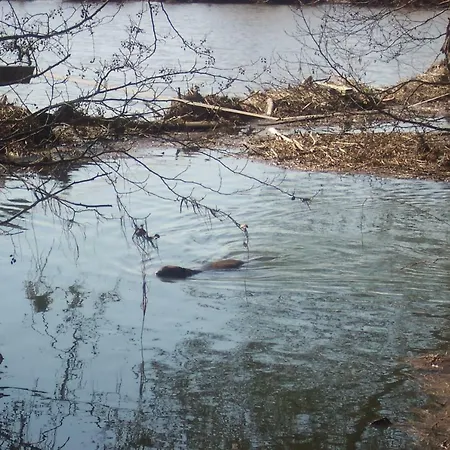 Appel-ranch Privatunterkunft Bockelwitz