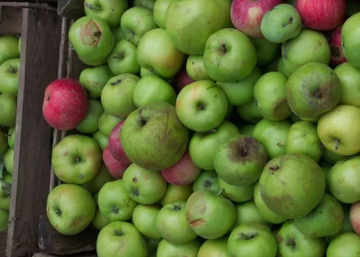 Alloggio in famiglia Appel-ranch