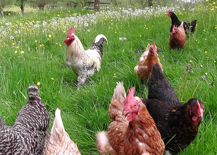 Alloggio in famiglia Appel-ranch