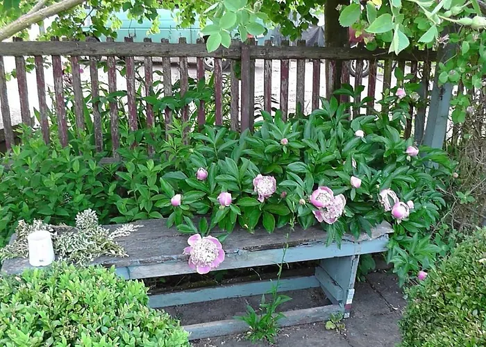 Appel-ranch Alloggio in famiglia Bockelwitz