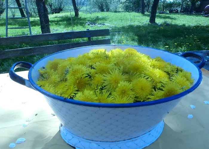 Appel-ranch Alloggio in famiglia *