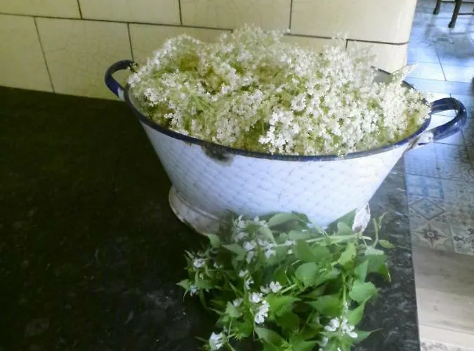 Alloggio in famiglia Appel-ranch *