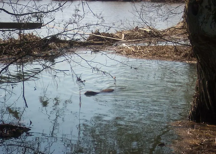 Appel-ranch Alloggio in famiglia Bockelwitz